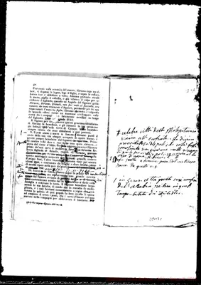Fotogramma B 1