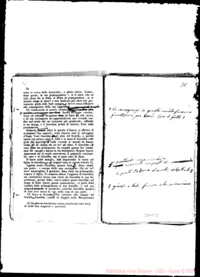 Fotogramma B 3