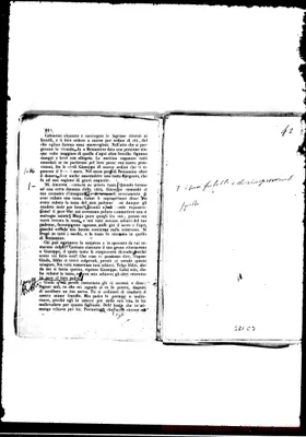 Fotogramma C 3