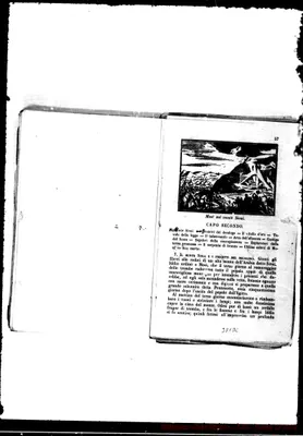 Fotogramma D 6