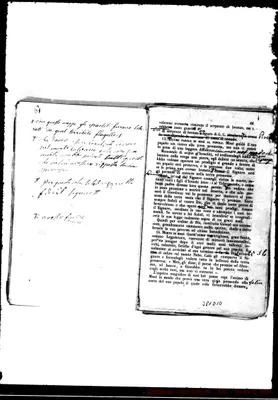 Fotogramma D 10