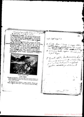 Fotogramma D 11