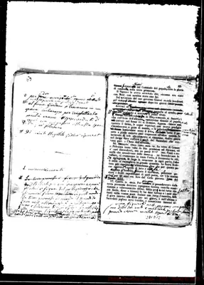Fotogramma D 12