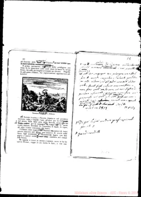 Fotogramma E 5
