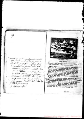 Fotogramma B 4