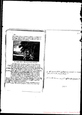 Fotogramma C 1