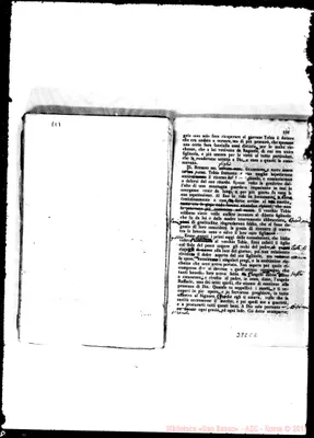 Fotogramma C 2