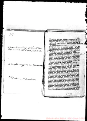 Fotogramma C 8