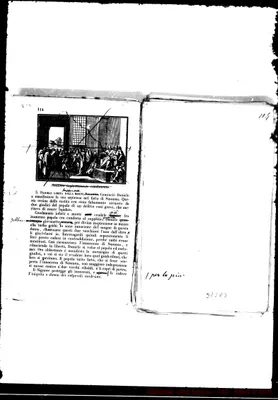 Fotogramma D 3