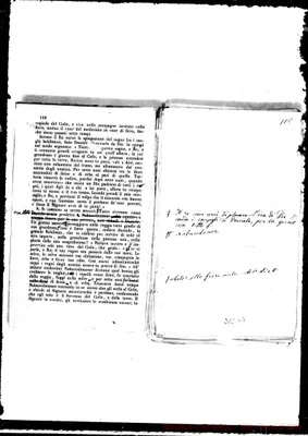 Fotogramma D 7