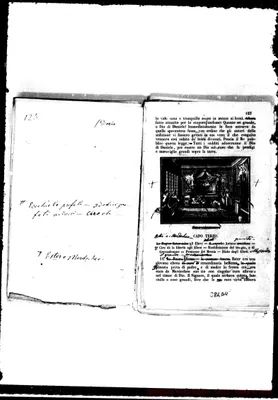 Fotogramma D 11