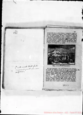 Fotogramma C 3
