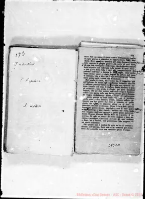 Fotogramma C 11