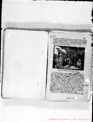Fotogramma D 11