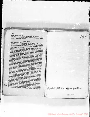 Fotogramma D 12