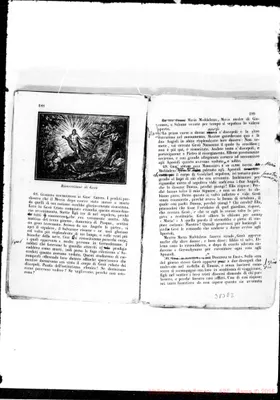 Fotogramma E 2