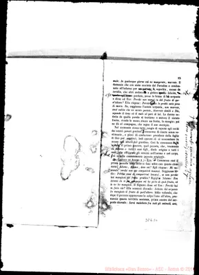 Fotogramma D 6