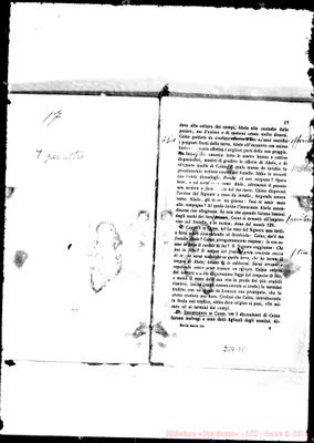 Fotogramma D 8