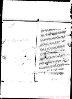 Fotogramma D 10