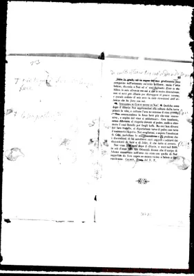 Fotogramma E 2