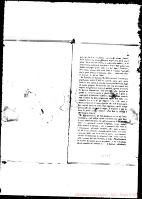 Fotogramma E 8