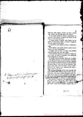Fotogramma C 3