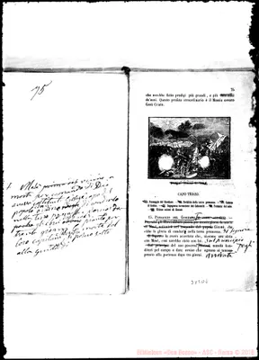 Fotogramma D 4