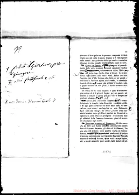 Fotogramma D 6