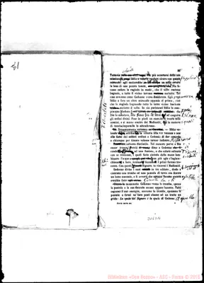 Fotogramma D 10
