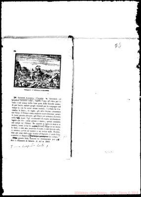 Fotogramma E 1