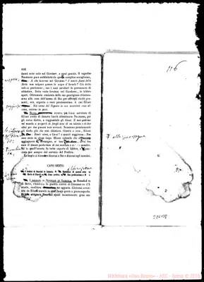 Fotogramma B 8