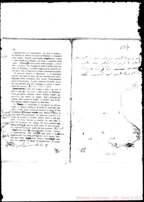 Fotogramma D 1