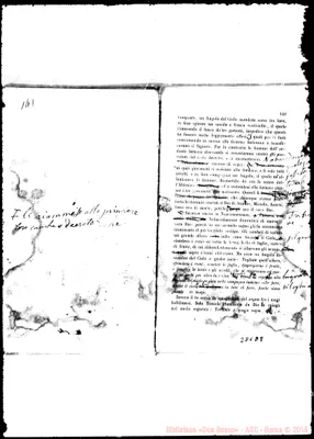 Fotogramma D 8