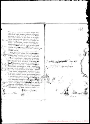 Fotogramma D 10