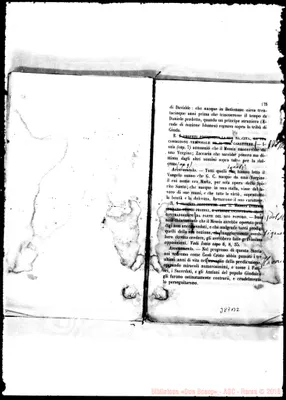 Fotogramma B 2