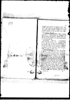 Fotogramma B 4