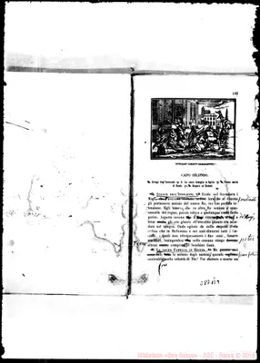 Fotogramma B 9
