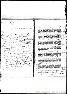 Fotogramma C 1
