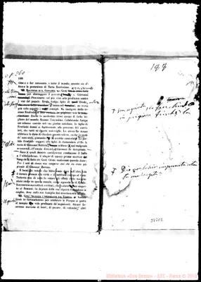 Fotogramma C 2