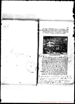 Fotogramma C 9