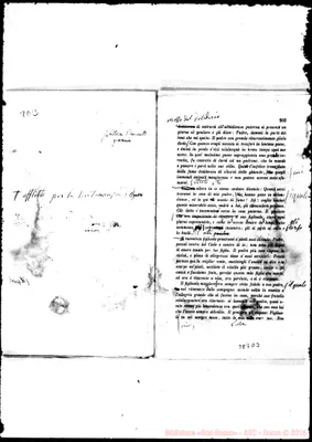 Fotogramma D 3