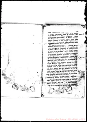 Fotogramma D 7