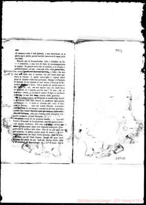 Fotogramma D 8