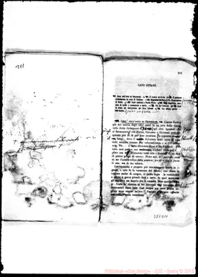 Fotogramma D 11