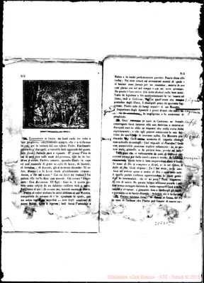 Fotogramma D 12