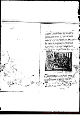 Fotogramma E 2