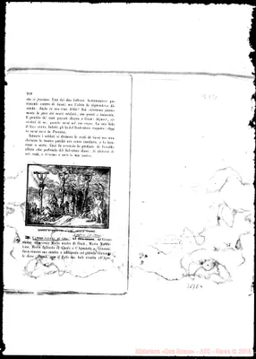 Fotogramma E 4