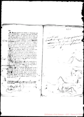 Fotogramma E 6