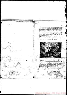 Fotogramma E 7