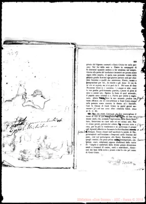Fotogramma E 11